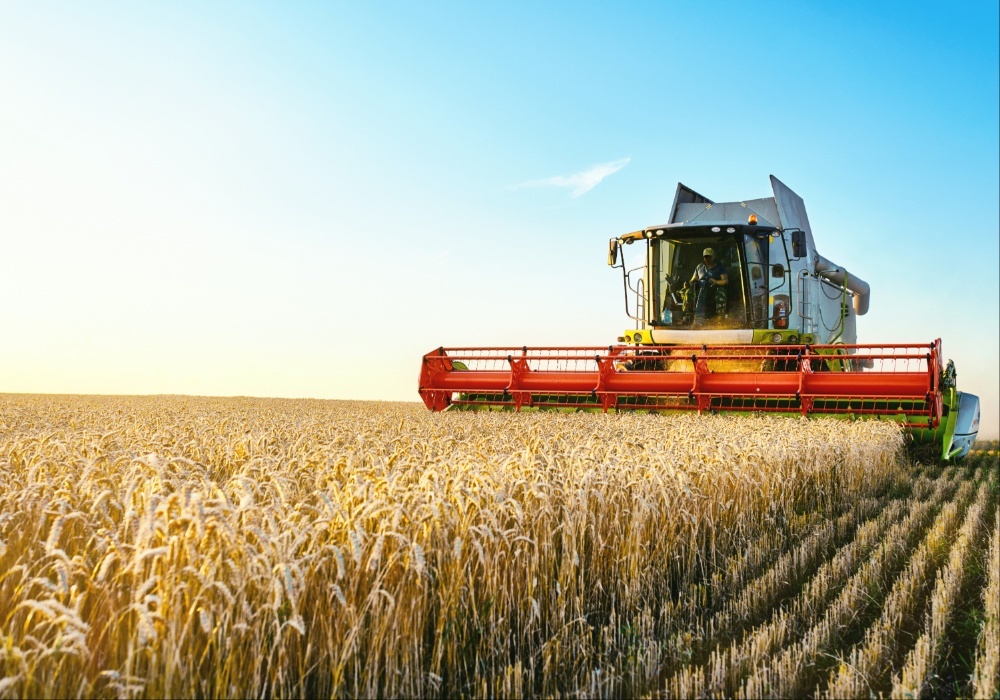 Globalno zagrevanje napravilo haos u poljoprivredi: Možemo li uzgajati žitarice otporne na ekstremne vremenske uslove?