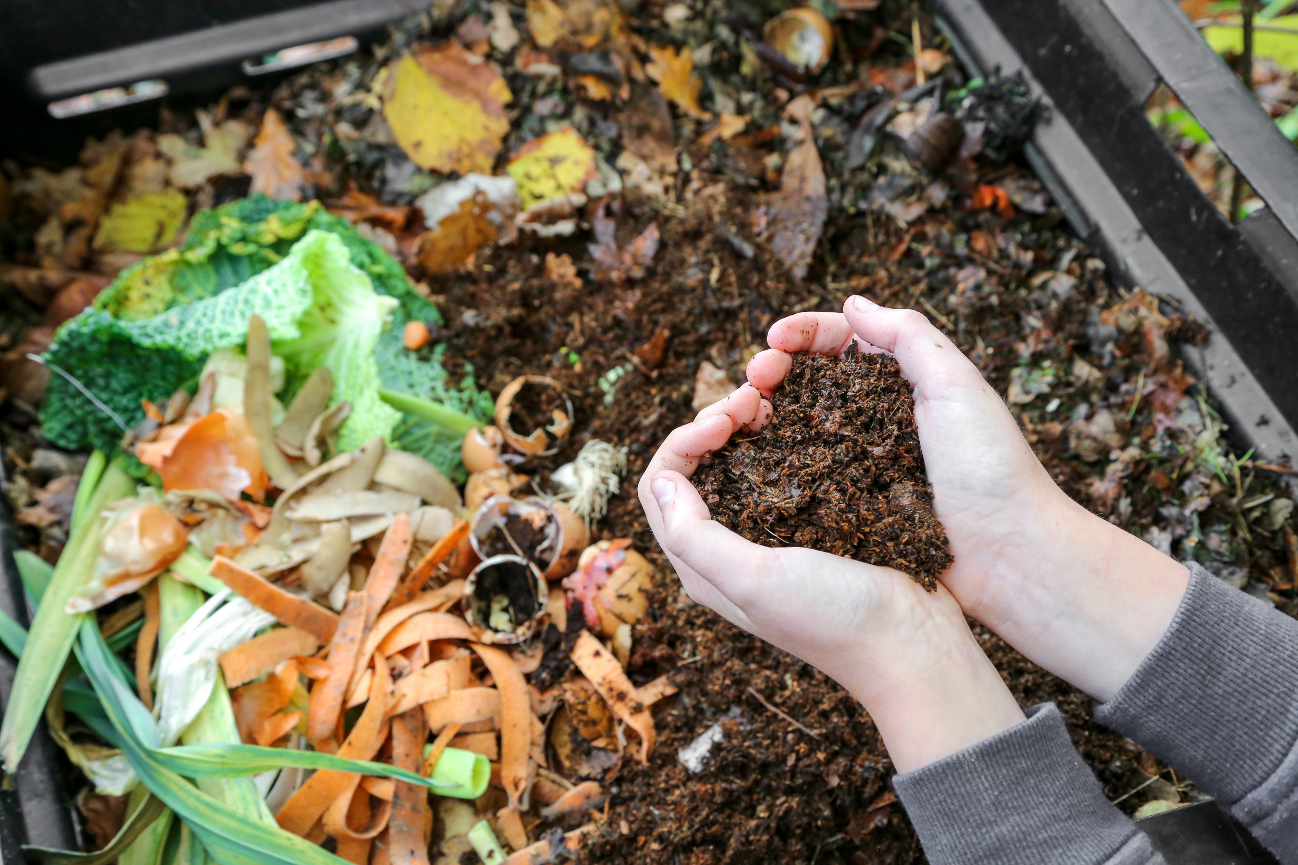 Vodič za početnike: Kako kompostirati i zašto je to važno?
