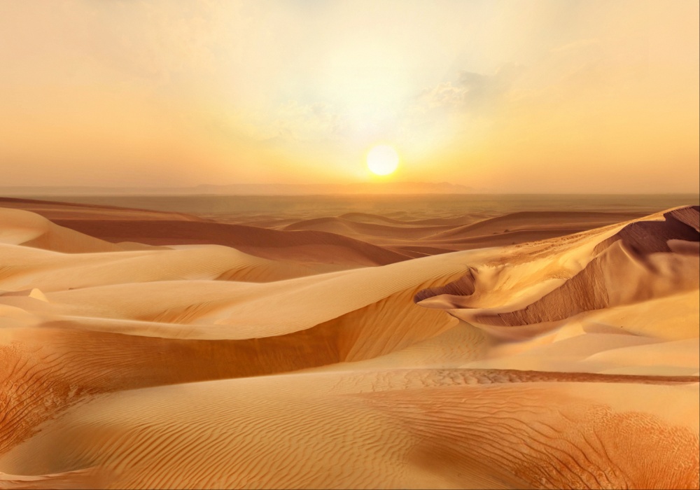 Pustinja Sahare postaje oaza uklanjanja ugljen-dioksida zahvaljujući algama!