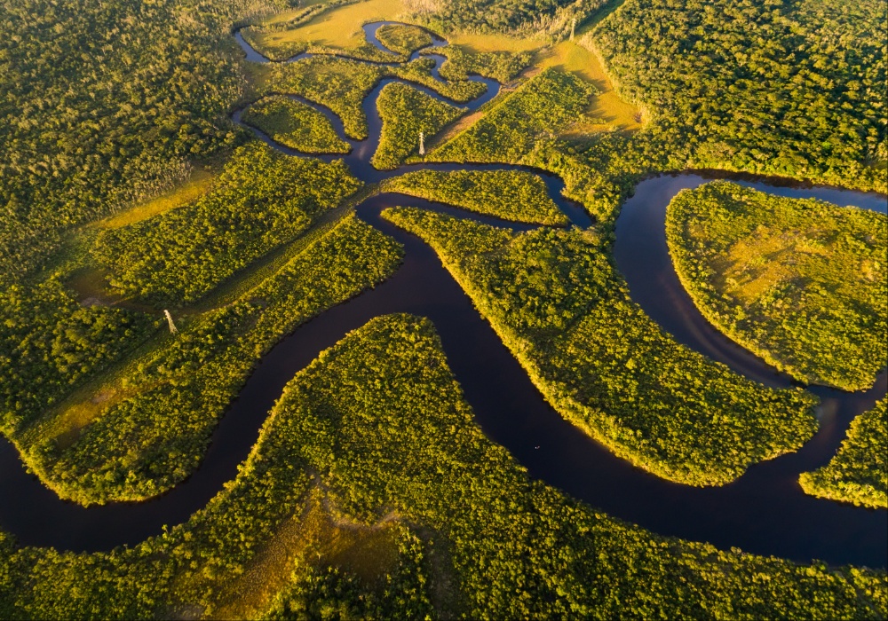 Dramatično povećane emisije ugljen-dioksida iz Amazonije ugrožavaju globalni ekosistem!