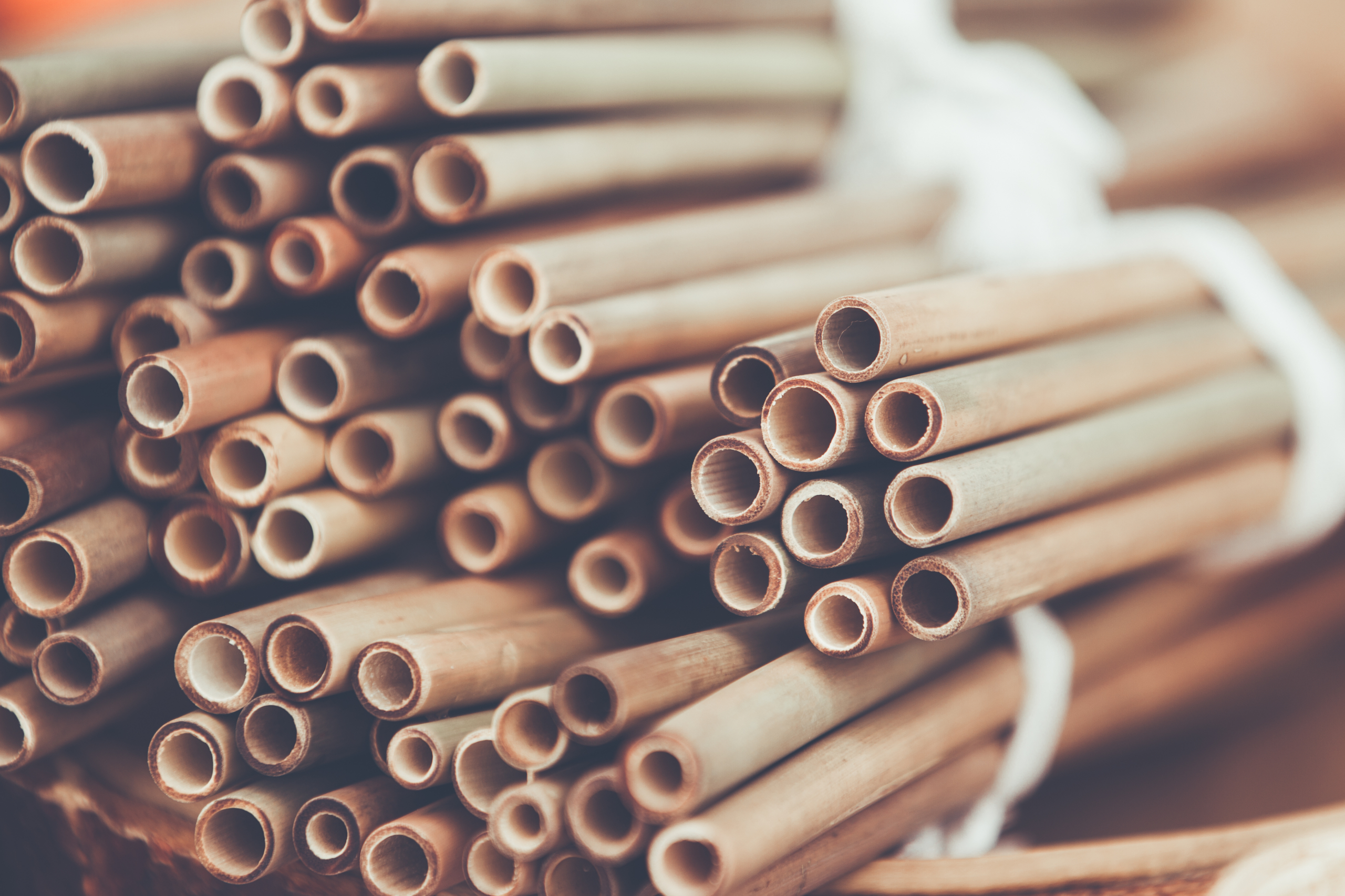 Da li je bambus novi materijal budućnosti? Ekološki je prihvatljiv i koristi se u građevini