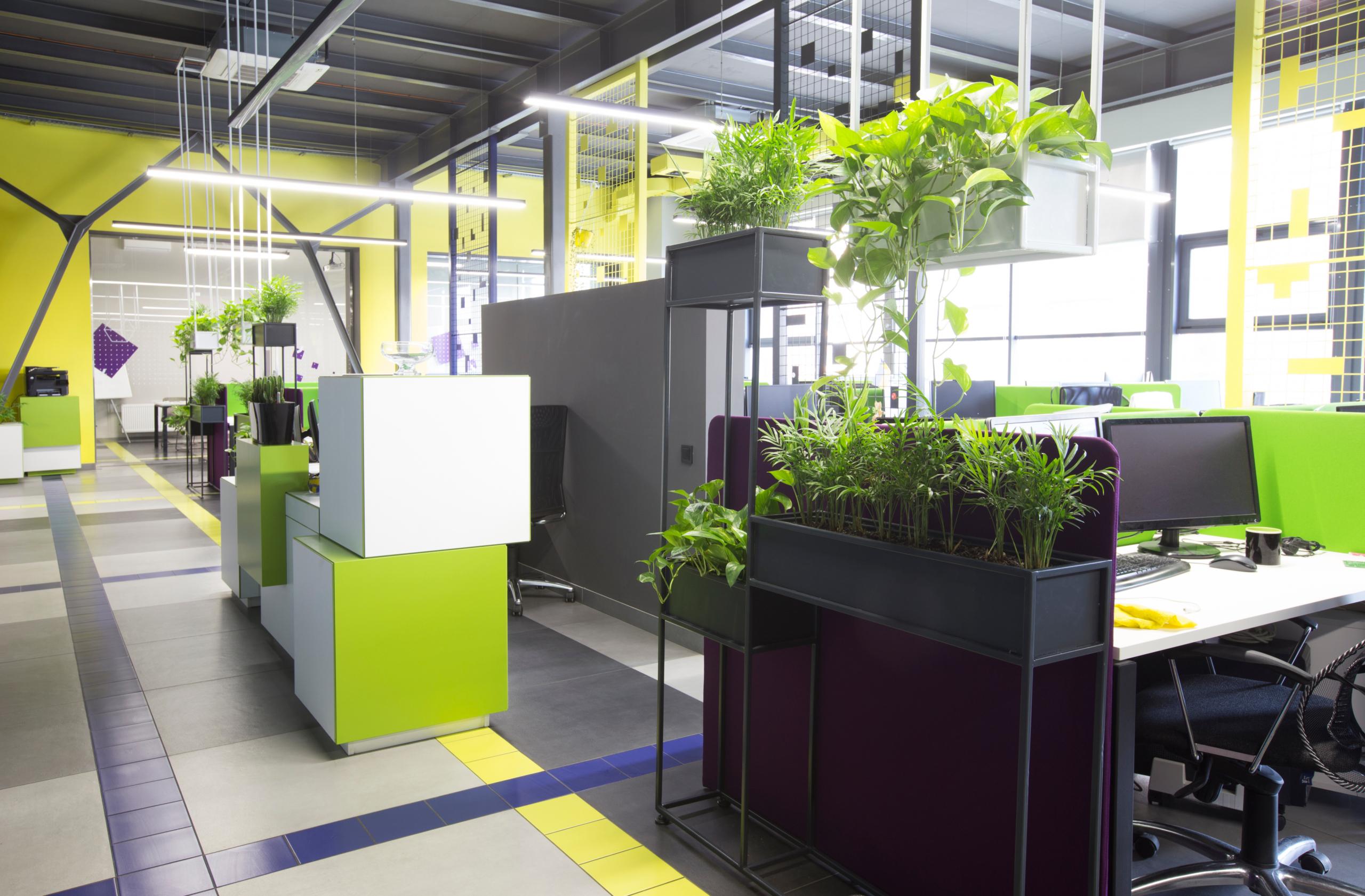 Zelena oaza na radnom mestu: IoT i biofilni dizajn su inovativne i korisne tehnike