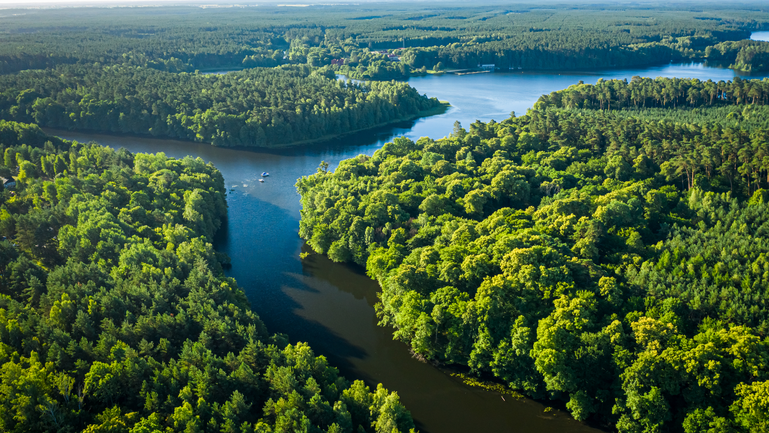 Amazonija - poslednji poziv za spas: Vlasti pokušavaju da zaustave uništenje!