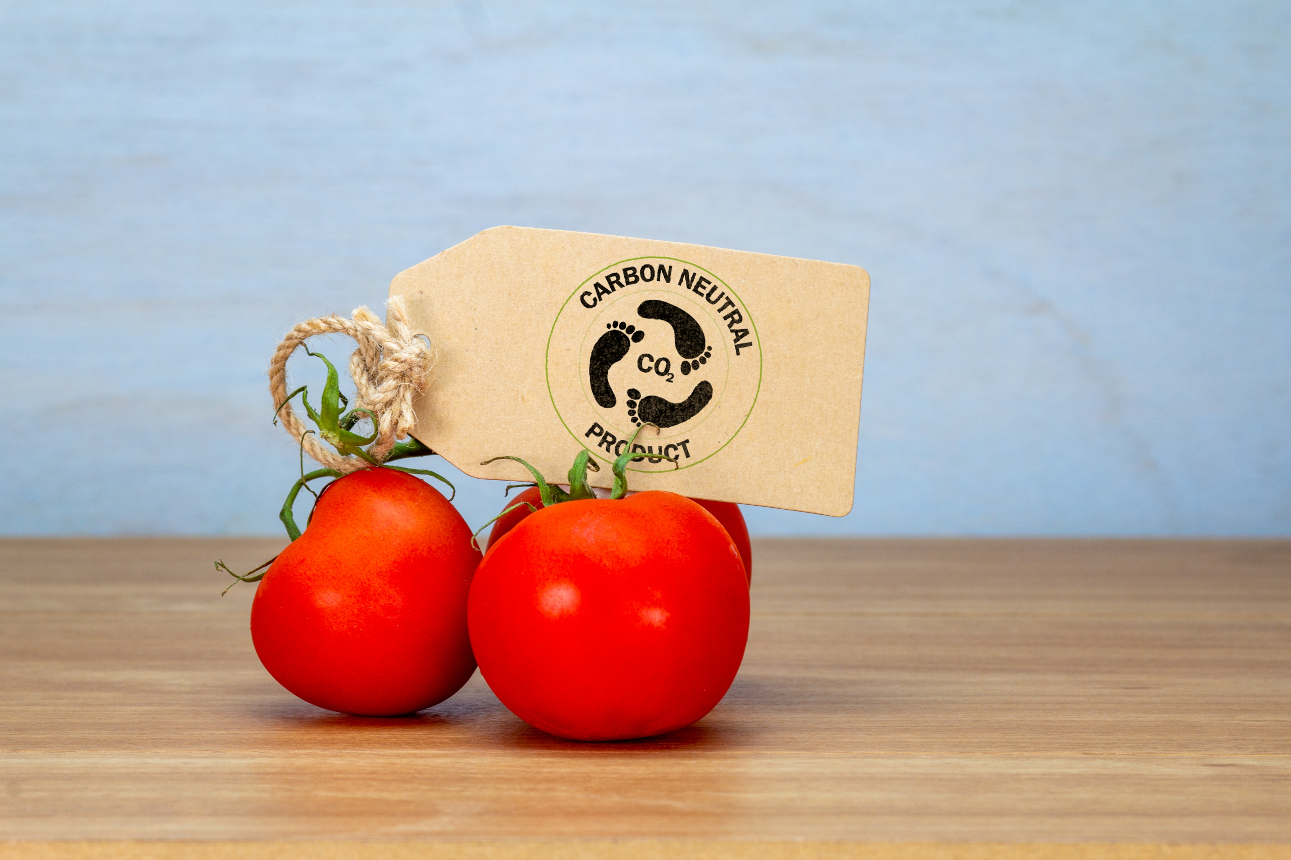 Španski i francuski premijer “zaratili” zbog kvaliteta paradajza: Sve je pocelo od pesticida