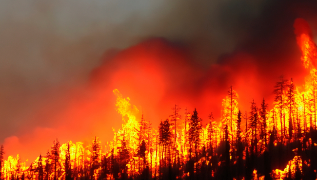 Klimatske promene uzrokovale štetu od 790 milijardi evra!