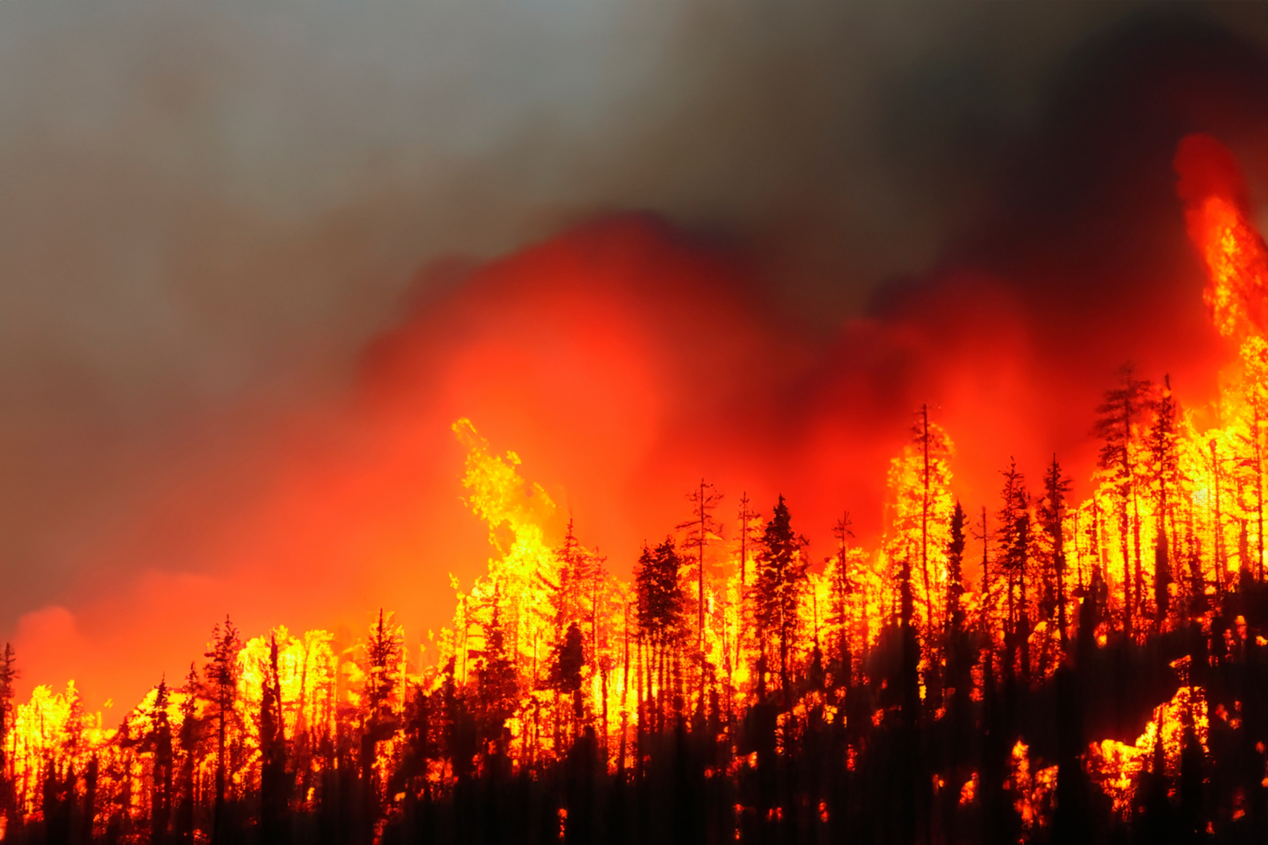Razorne posledice havajskih požara: Strah od šire ekološke katastrofe
