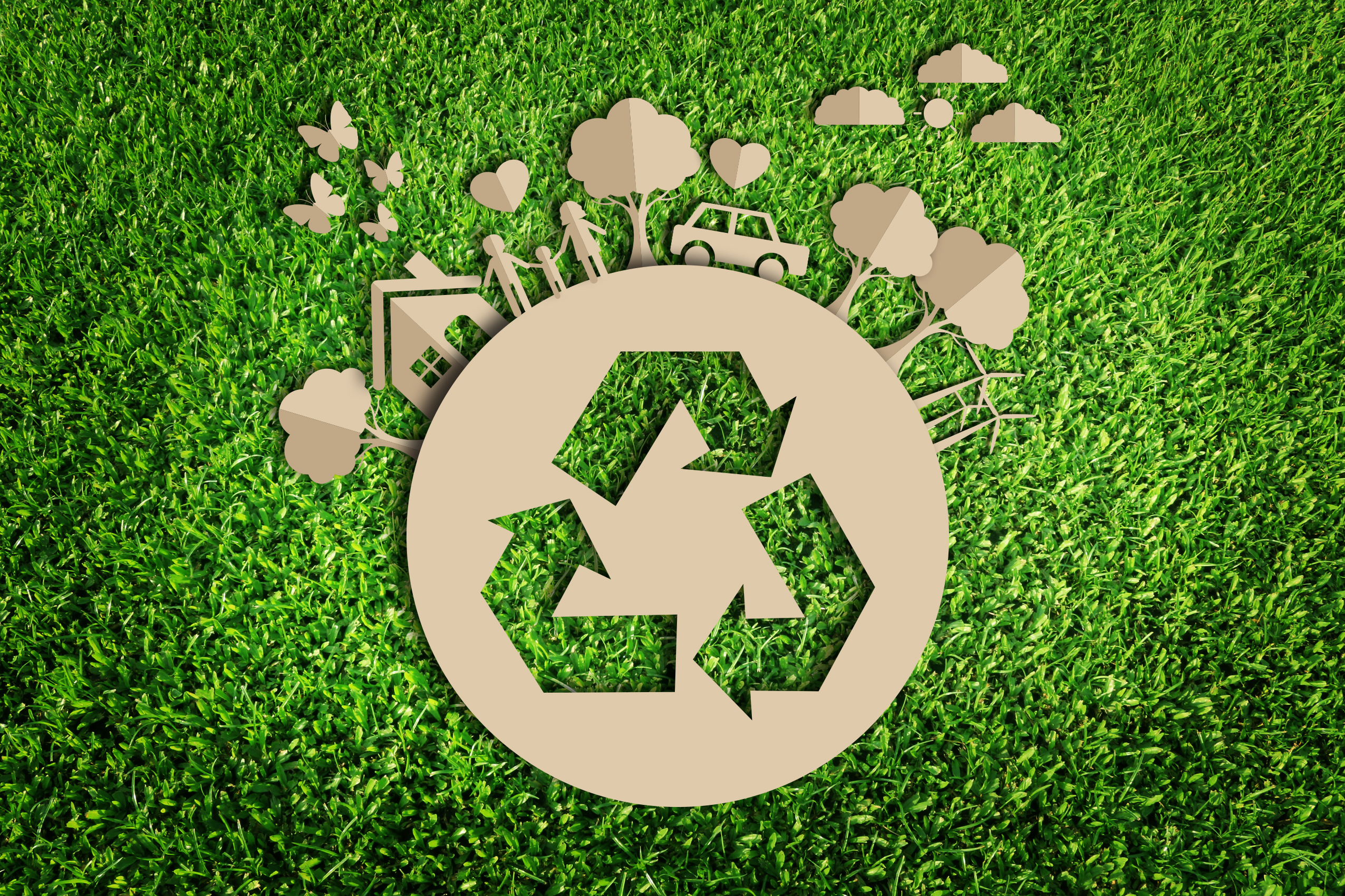 Oznake koje spašavaju planetu: Kako potrošači doprinose reciklaži i ekologiji?