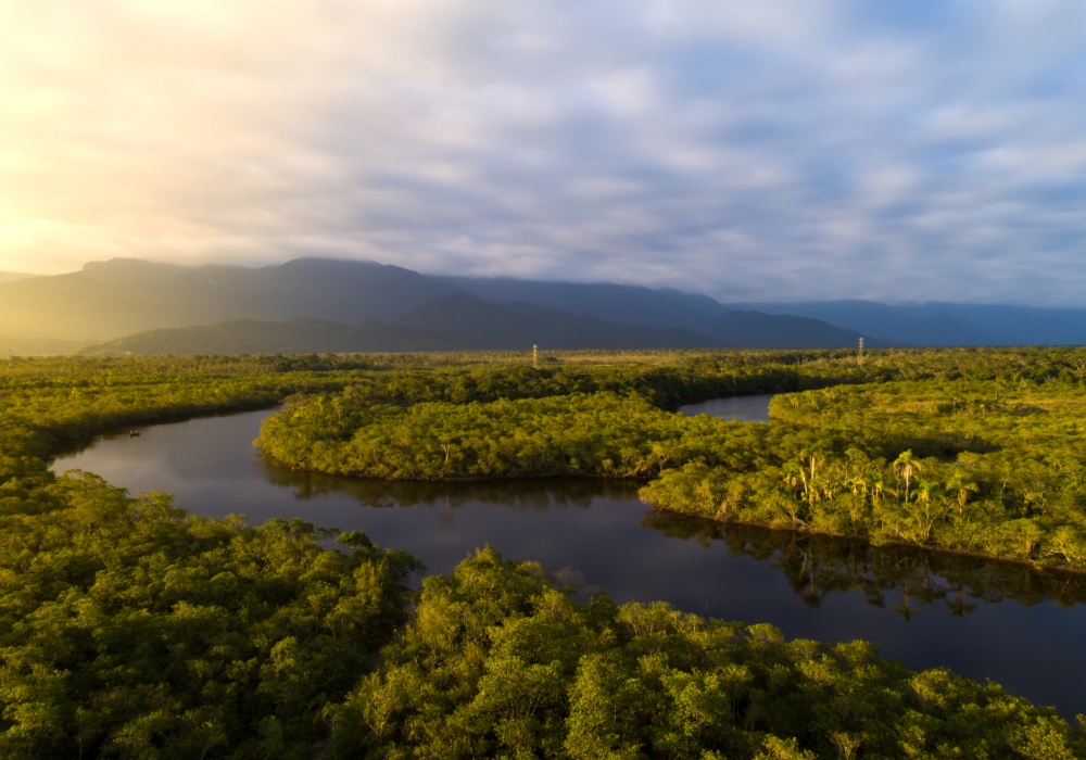 Pobeda za očuvanje prirode: Amazonska prašuma ponovo diše!