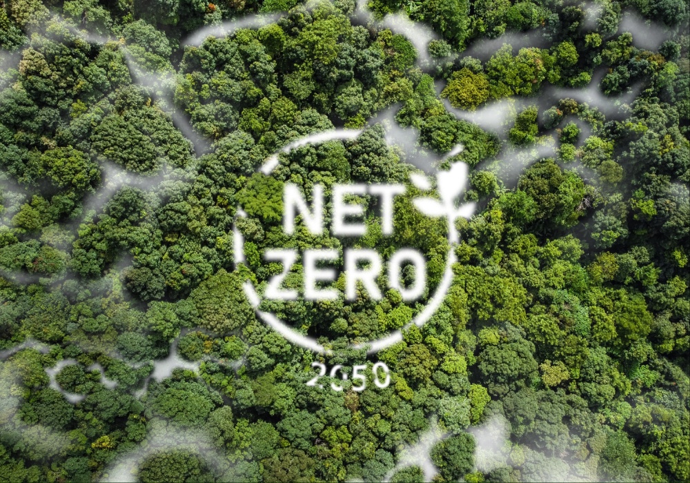 Globalni cilj: Neto nula emisija do 2050. - Šta je potrebno?