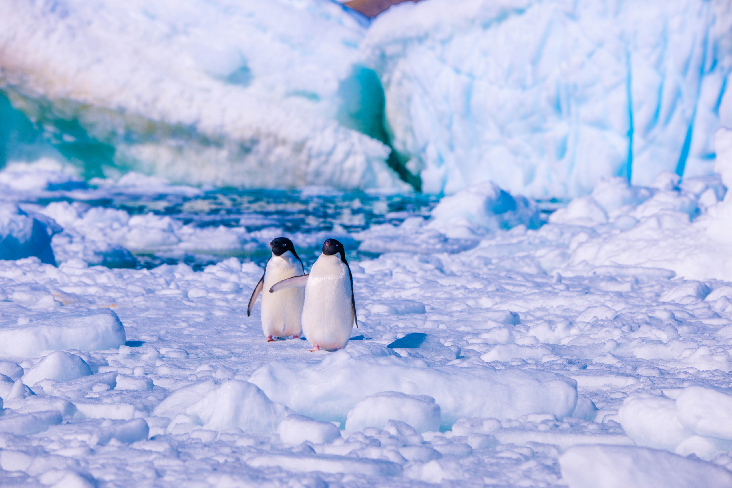 Antarktik se topi munjevitom brzinom: Ovo otkriće je zapanjilo naučnike