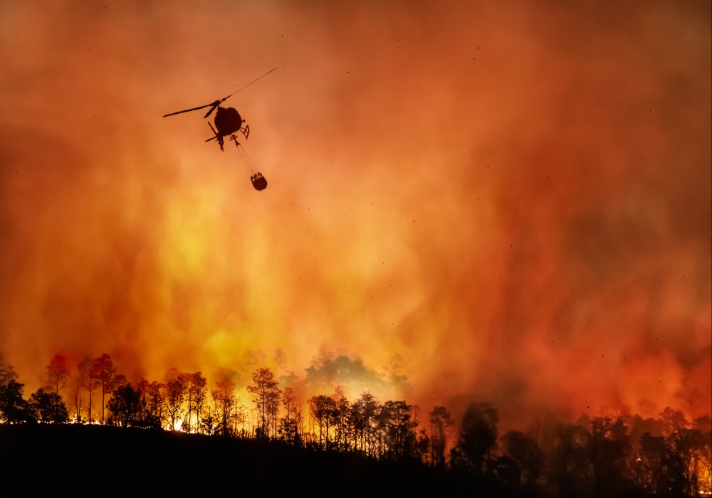 Amazonija na rubu: Divlji požari ugrožavaju ekološka dostignuća!