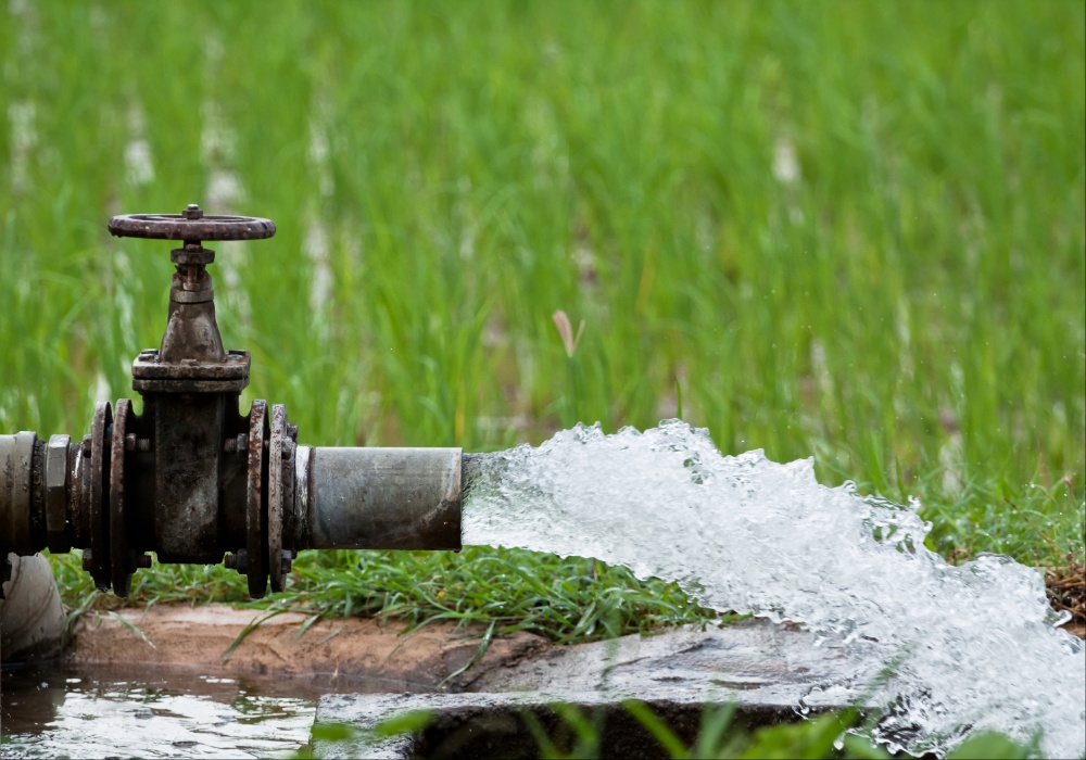 Nestašica vode u poljoprivredi: Kako klimatske promene utiču na proizvodnju hrane?