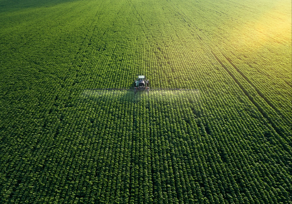 Počeo Popis poljoprivrede 2023. godine - Ključni koraci ka boljoj agrarnoj politici