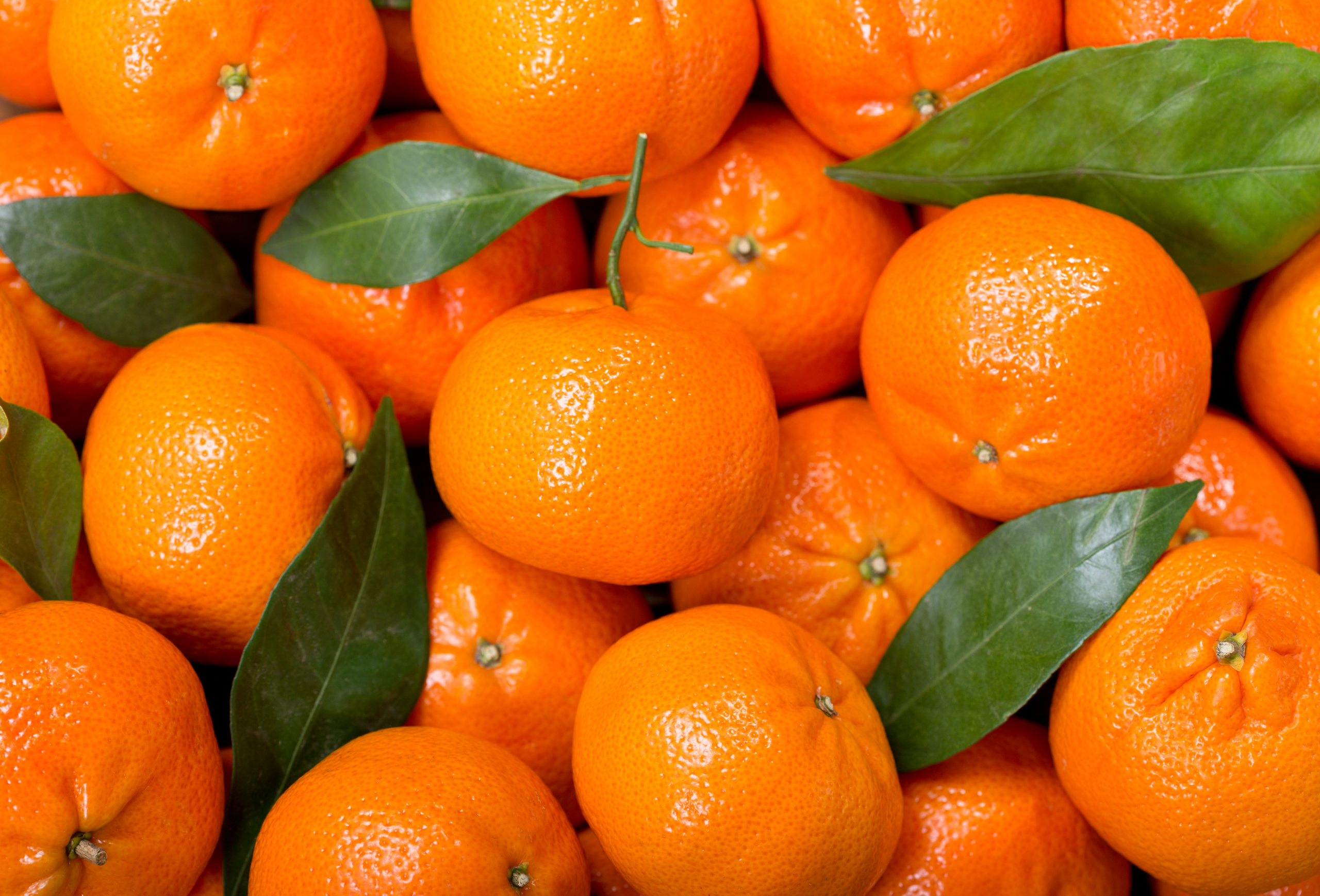Mandarine su nam ove sezone kiselije nego inače, a evo i zbog čega