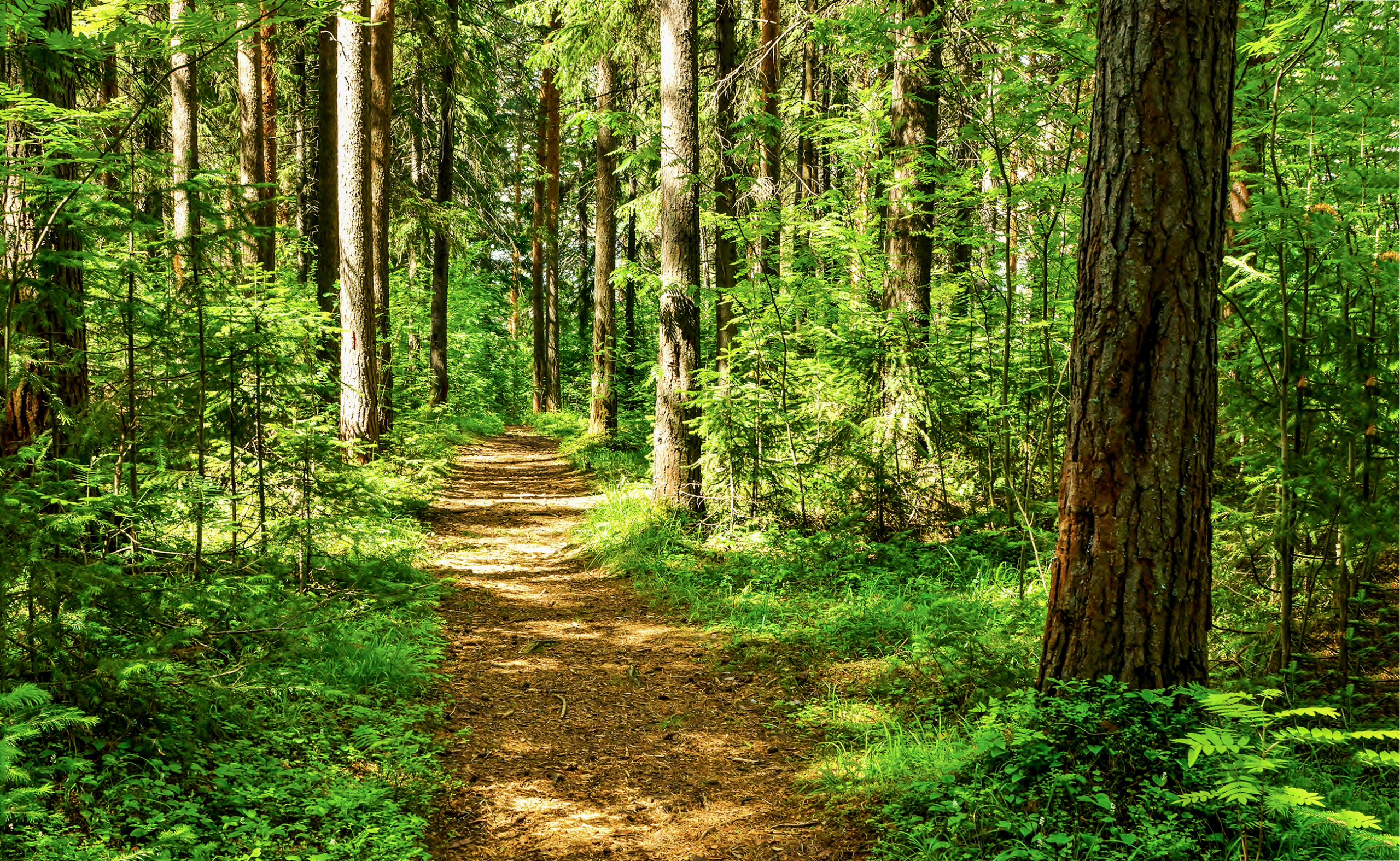 Energetska sigurnost i klimatske promene ključne za budućnost Srbije