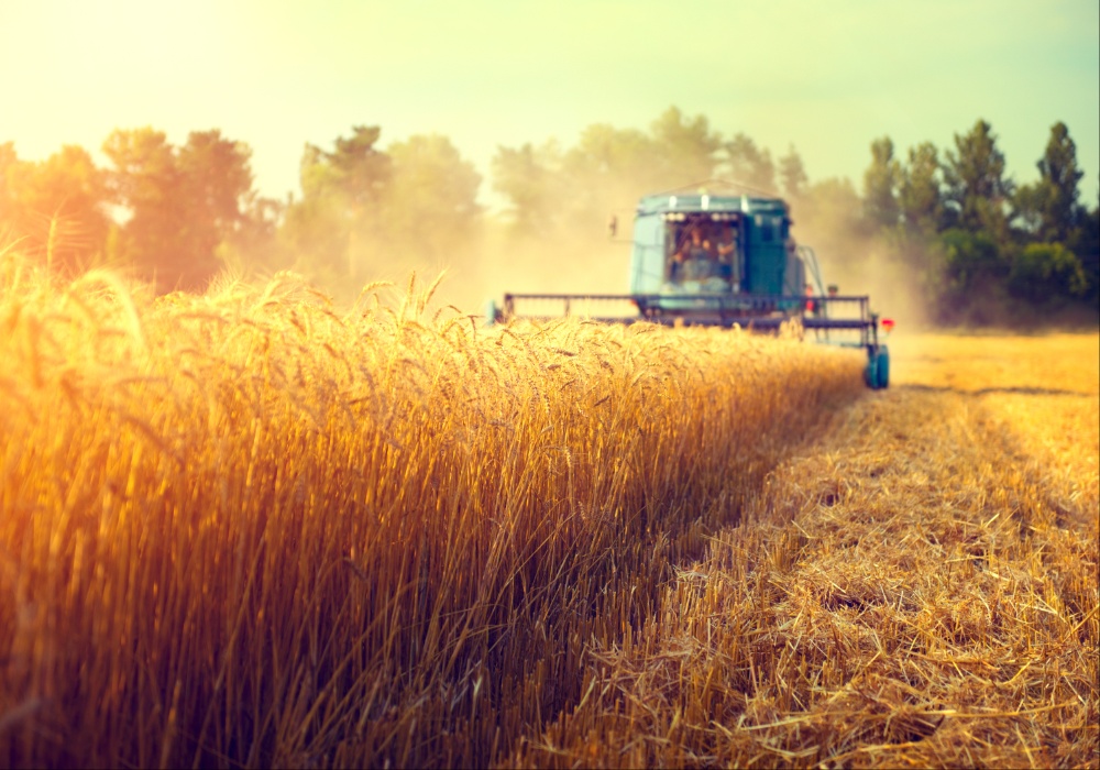 Srbija zabranjuje 113 pesticida: Ključni potez ka bezbednijoj hrani