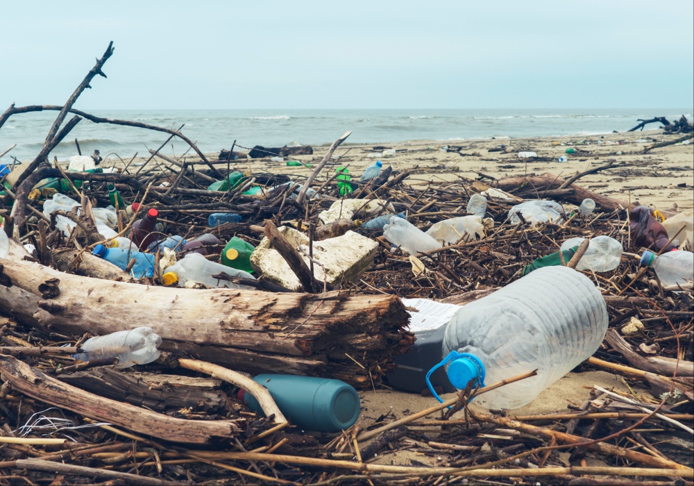Osnivač "No more plastic" razotkriva istinu o plastici i poziva na promene