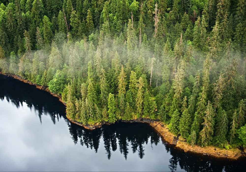 Kako nacionalne šume Aljaske postaju ključni akteri u globalnim naporima za očuvanje?