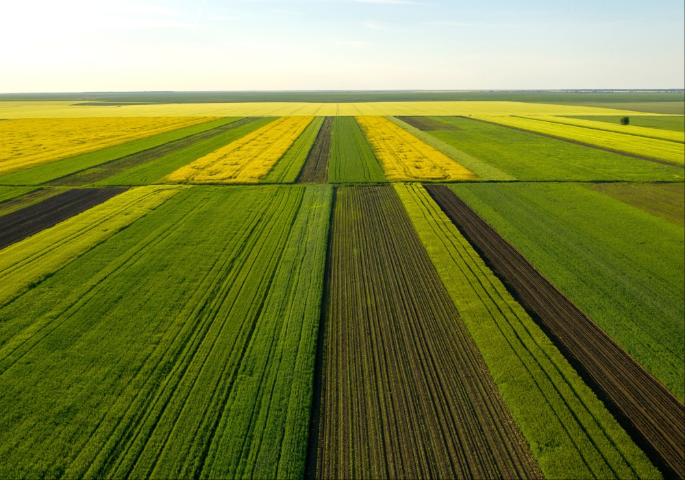 Evropa u procvatu: Poljoprivredni sektor beleži značajan skok cena i prihoda