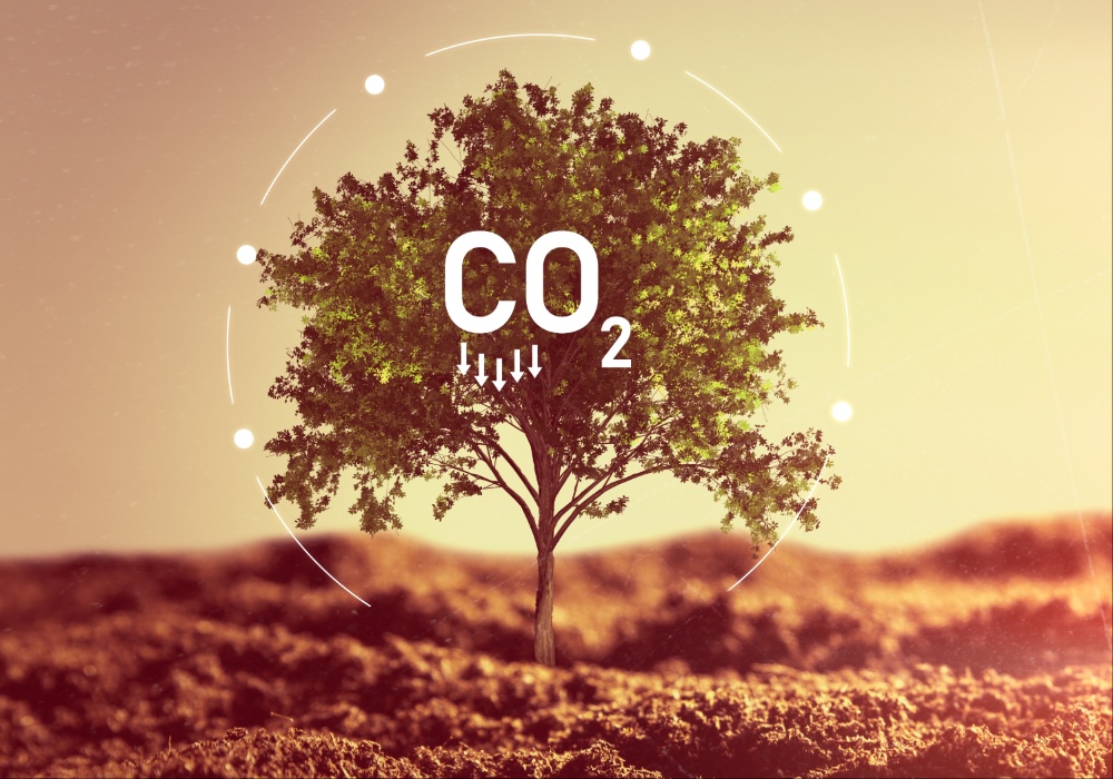 Zašto je uklanjanje ugljen-dioksida ključno za borbu protiv emisija koje je teško smanjiti?