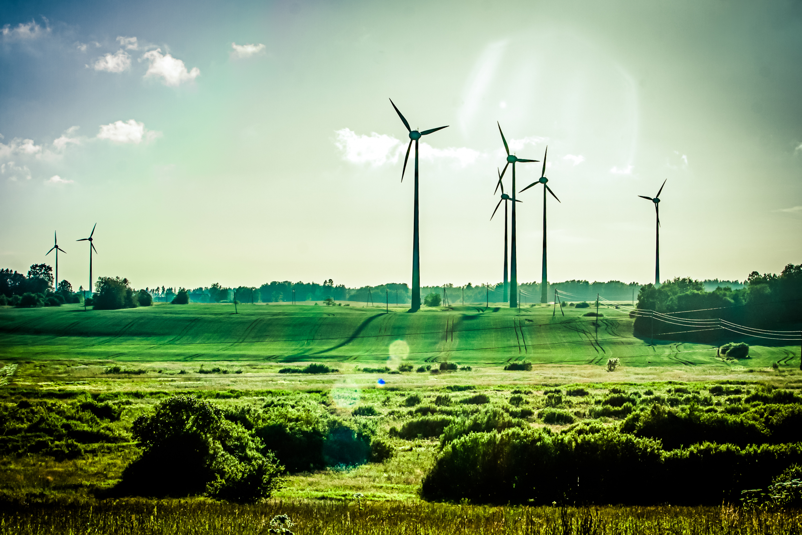 Prvi put ikada, u Nemačkoj je 50% potrošene struje iz obnovljivih izvora