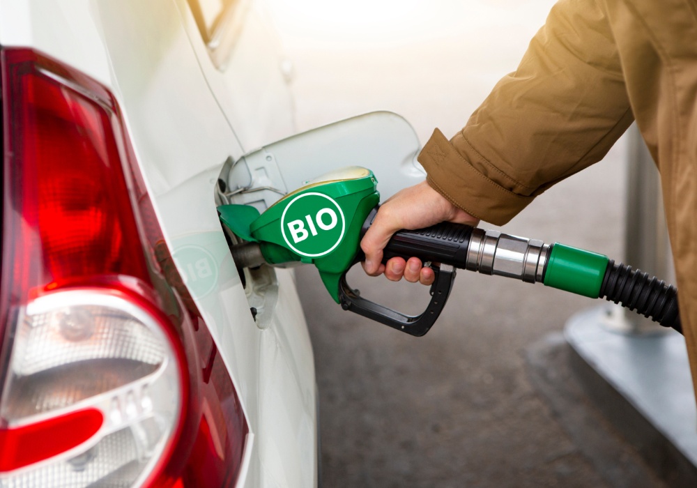 Revizija biogoriva: Da li su ona stvarno rešenje za emisije iz transporta?