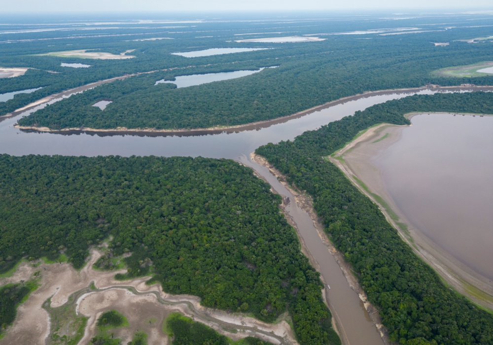 Amazonska prašuma u opasnosti zbog planiranog autoputa kroz Brazil