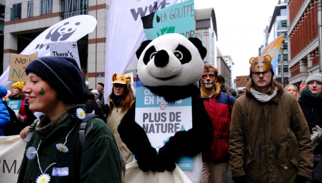 Prva nedelja na COP28: Šta je postignuto i gde su propusti?