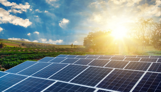 Ambiciozni planovi: Indija gradi ogroman park obnovljive energije u regiji močvare