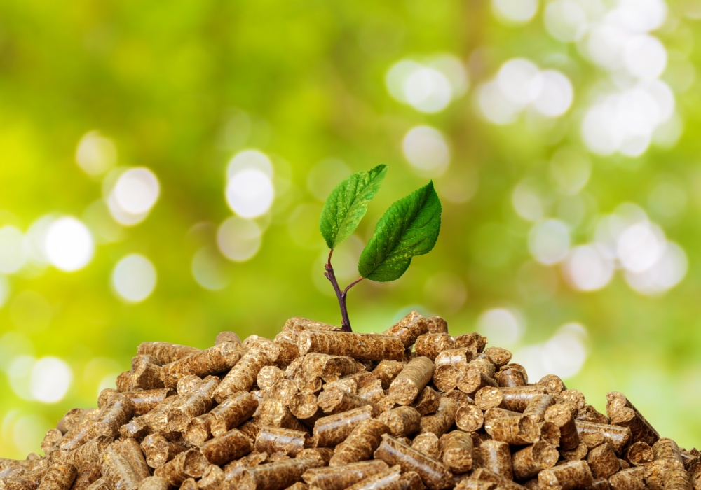 Zeleni horizonti: Biomasa kao ključna karika u energetskoj održivosti