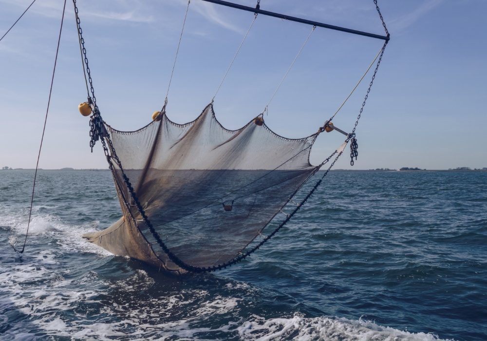 More u opasnosti: Zapanjujuće emisije CO2 izazvane ribarskim koćarenjem