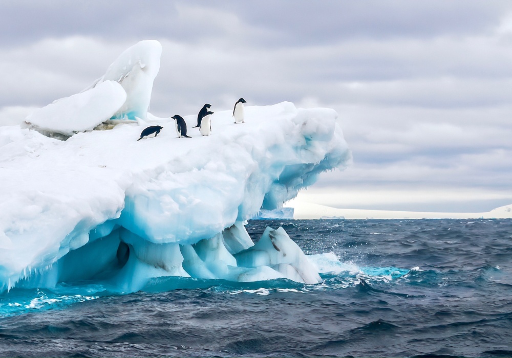 Antarktik otkriva tajne zagađenja metalima kroz vekove