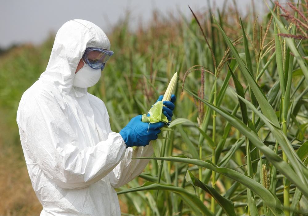 Poljoprivreda u opasnosti: Genomske tehnike ne smeju ponoviti greške GMO
