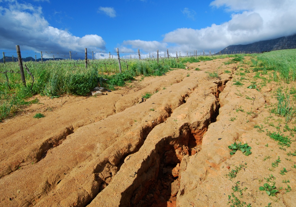 Ugrožena poljoprivredna produktivnost: Borba protiv erozije zemljišta