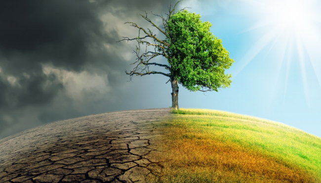 Srbija: Ključni koraci u borbi protiv klimatskih promena