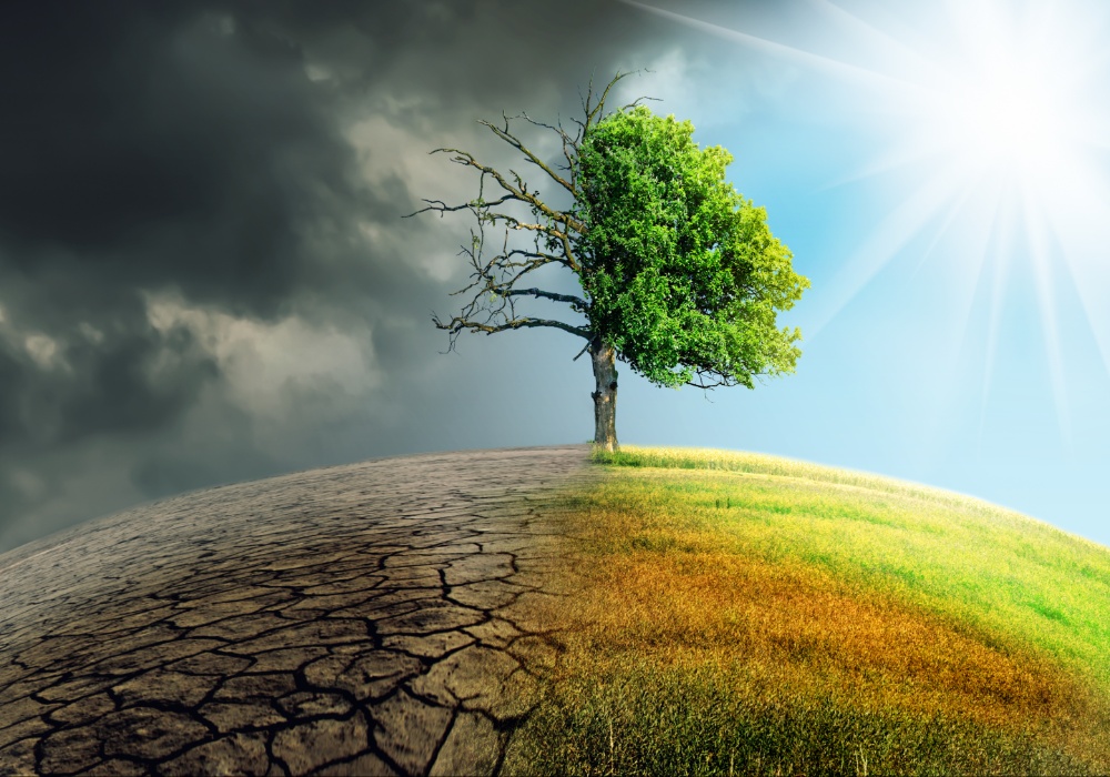 Srbija: Ključni koraci u borbi protiv klimatskih promena