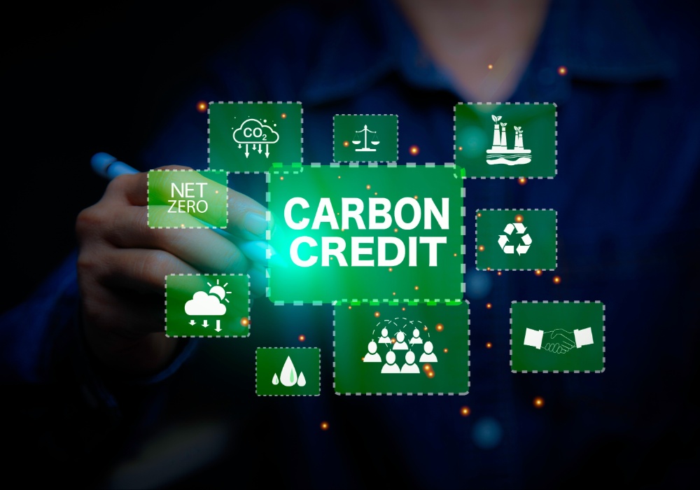 Odabir karbonskih kredita: Šta treba znati o kvalitetu?