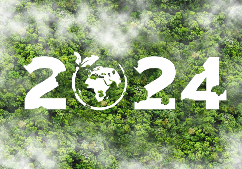 Pozitivne ekološke vesti iz 2024. godine: Ohrabrujuće priče