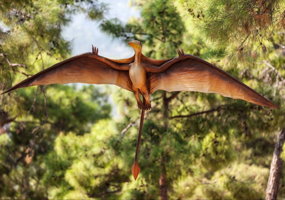 Novootkrivena leteća vrsta reptila pronađena na Škotskom ostrvu Skaj