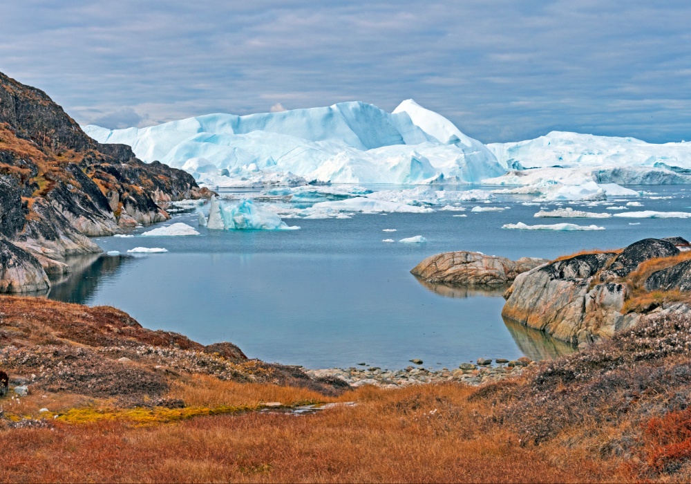 Istraživanje: Grenland gubi ledeni identitet, rađaju se nova zelena prostranstva