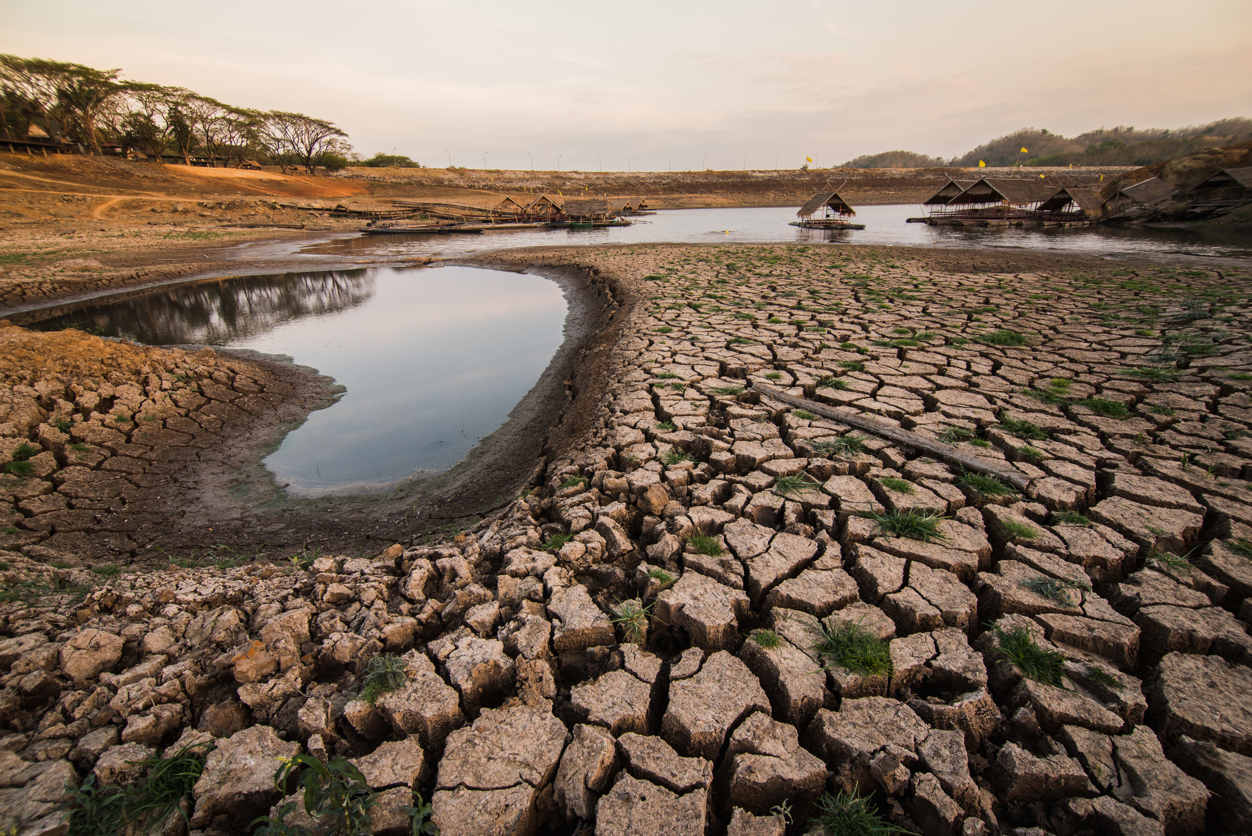 Nova analiza upozorava: Rast cena hrane zbog klimatske krize ugrožava najsiromašnije