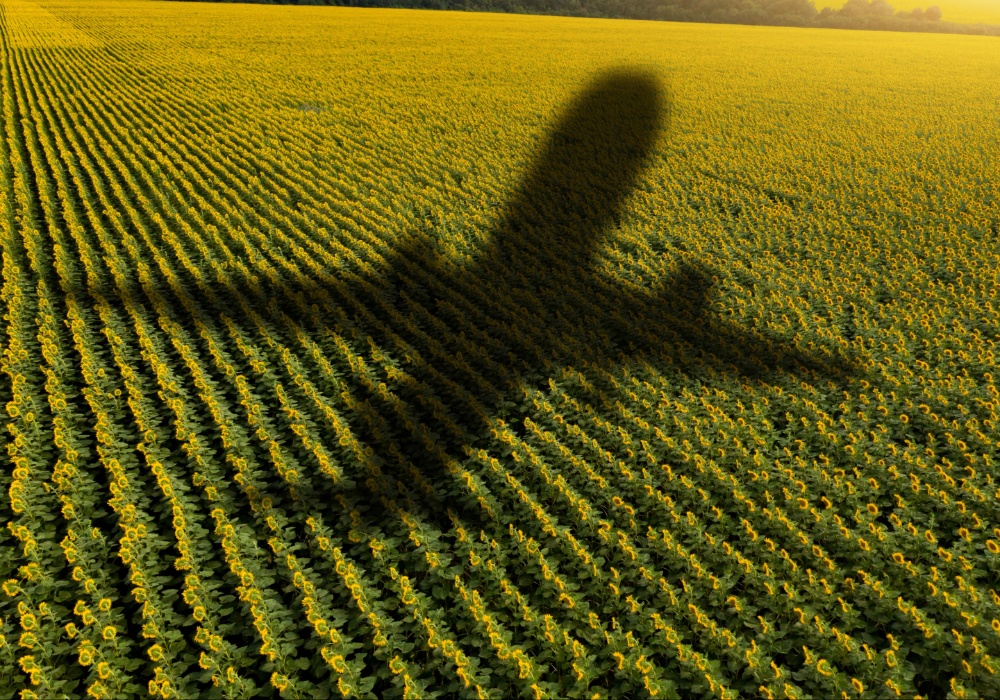 Evropska Komisija podržava proizvodnju avio-goriva na poljoprivrednom zemljištu