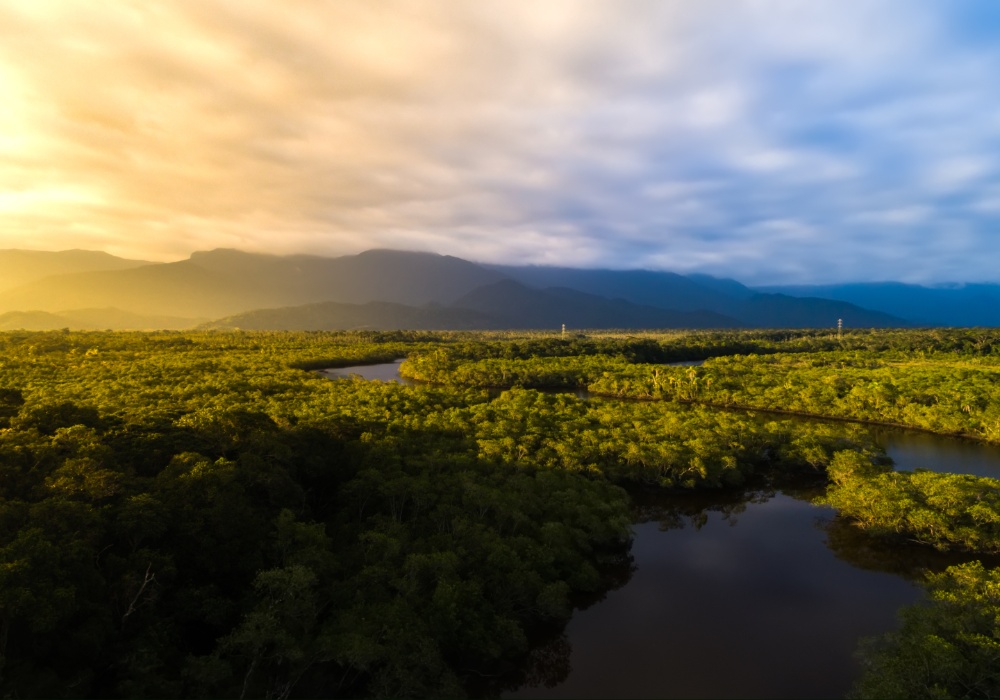 Amazonija pokreće revoluciju u globalnoj klimatskoj politici