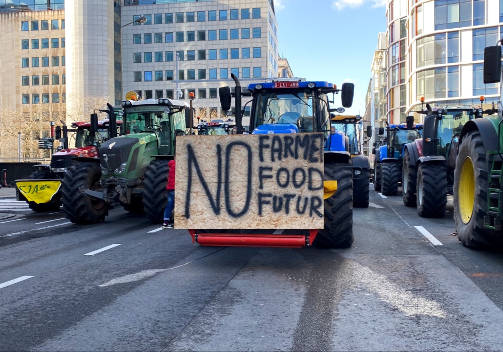 Poljoprivredni protesti u Briselu: Cvekla i seno kao oružje