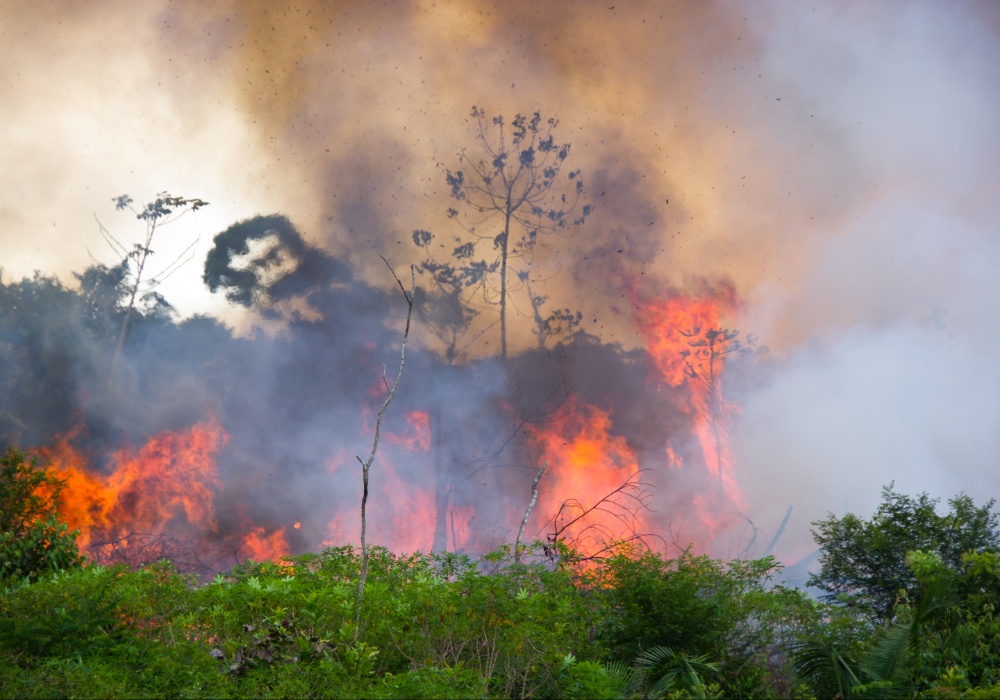 Februarska drama: Amazonija na rubu propasti od požara