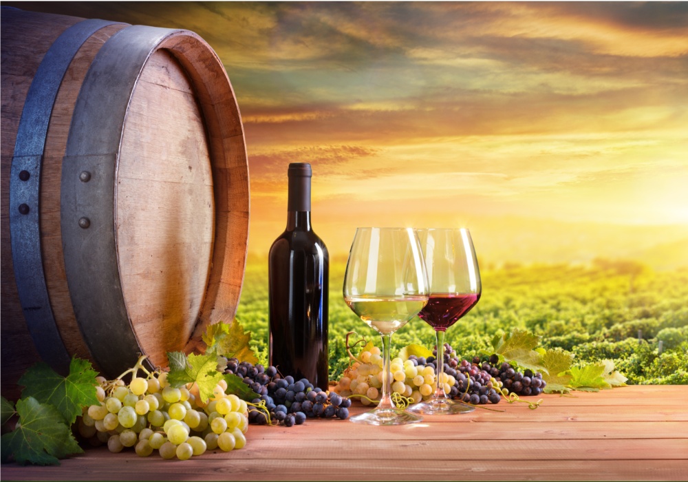 Vinogradarstvo u promeni: Kako klimatske promene menjaju geografiju vina?