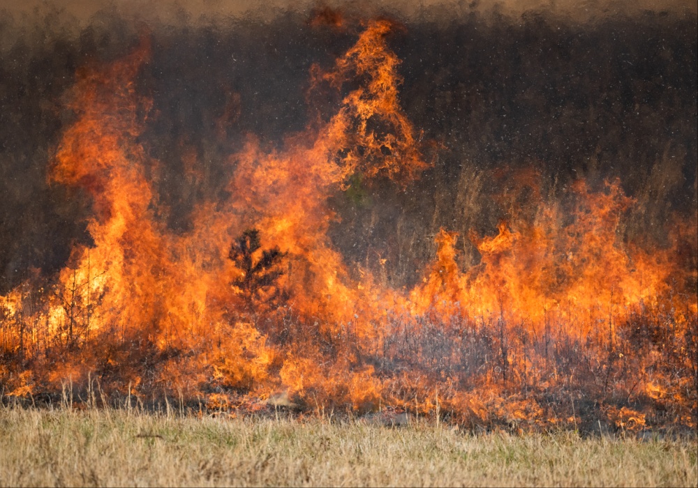 Borba za opstanak: Nacionalni park "Durmitor" u plamenu