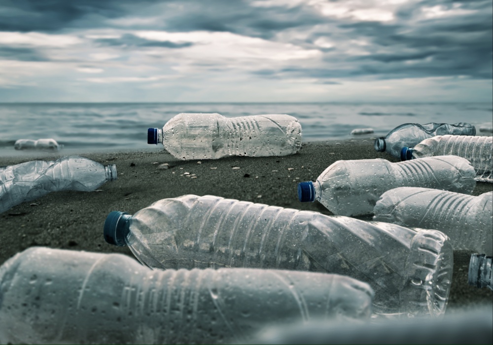 Borba protiv plastične zagađenosti: Zaustavljanje beskonačnog ciklusa