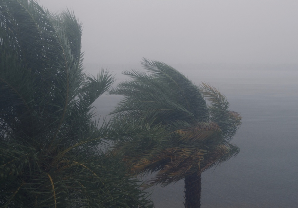 Upozorenje na "ekstremno aktivnu" sezonu uragana u SAD: Da li su klimatske promene krive?