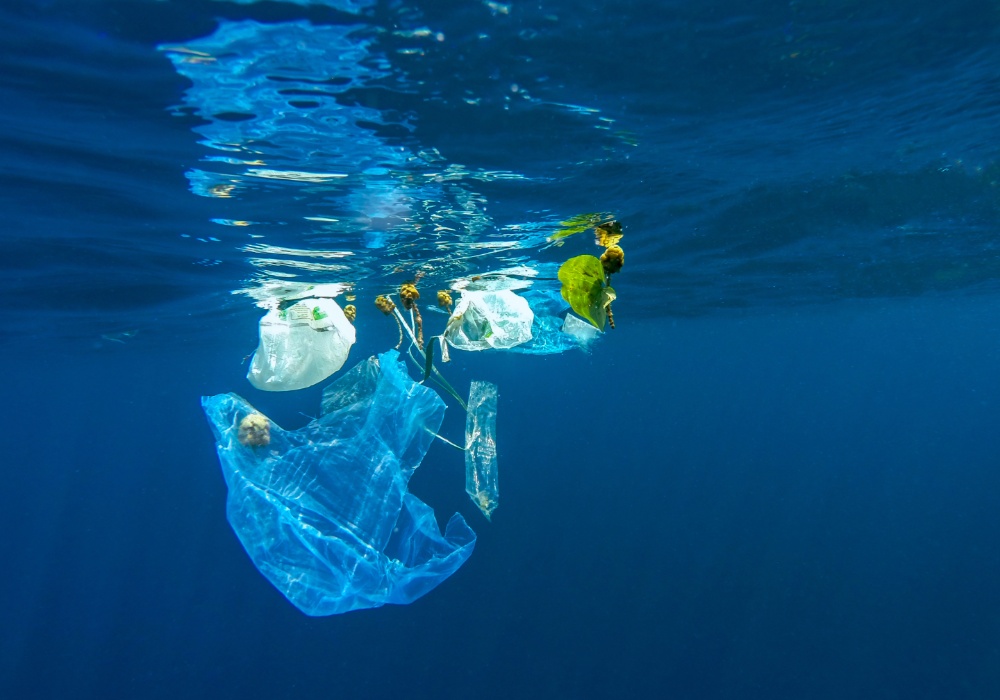 Novo istraživanje otkriva: Okeansko dno je ključna "deponija" za plastiku